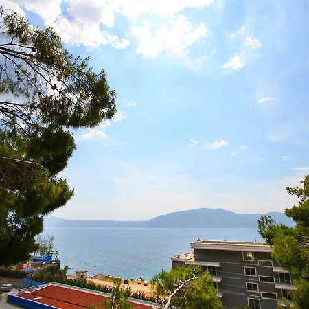 Green Vlorë