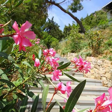 Green Vlorë