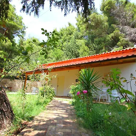 Green * Vlorë